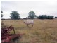 Wooroolin QLD 4608