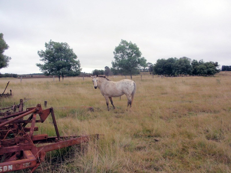 Wooroolin QLD 4608