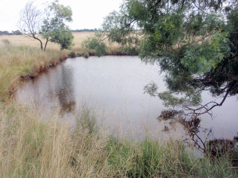 Wooroolin QLD 4608