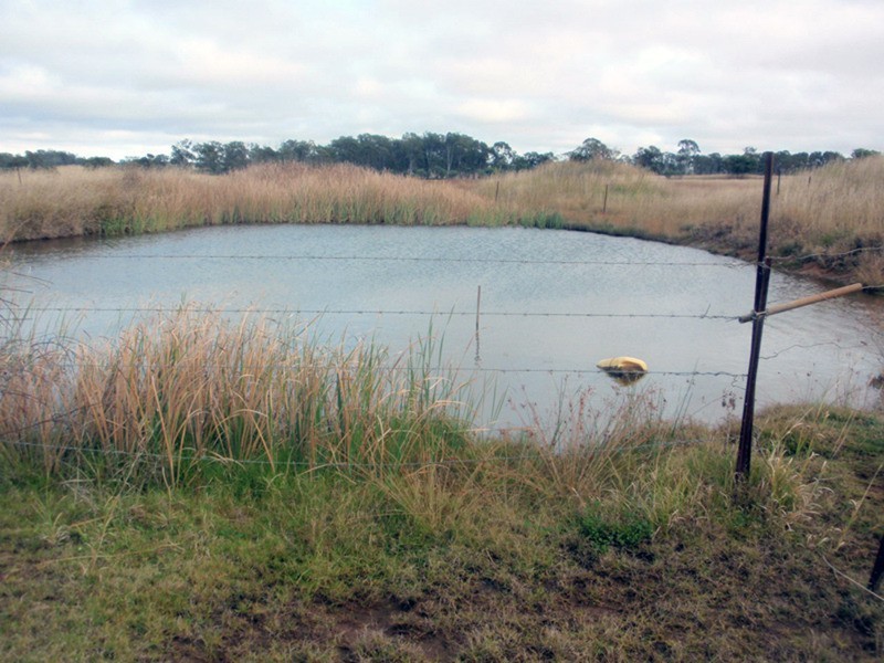 Wooroolin QLD 4608