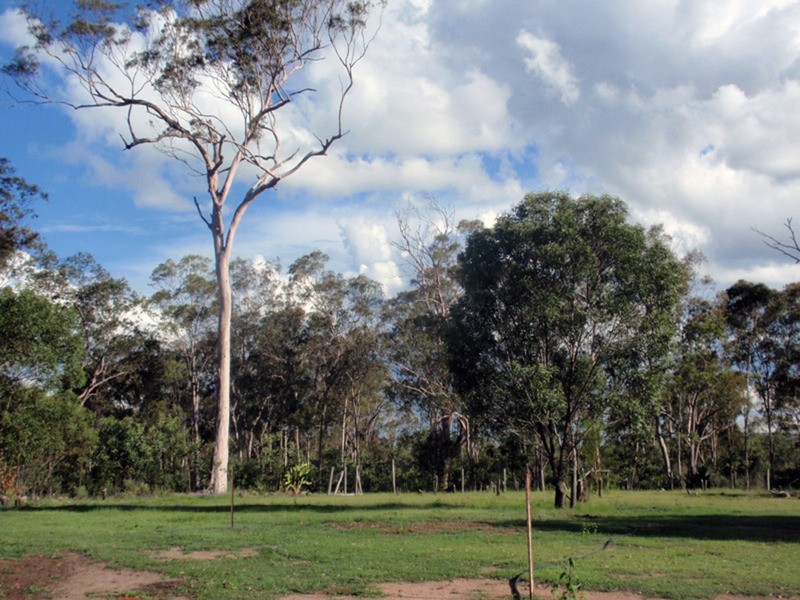 Lot 10 McLucas Road, Ballogie QLD 4610