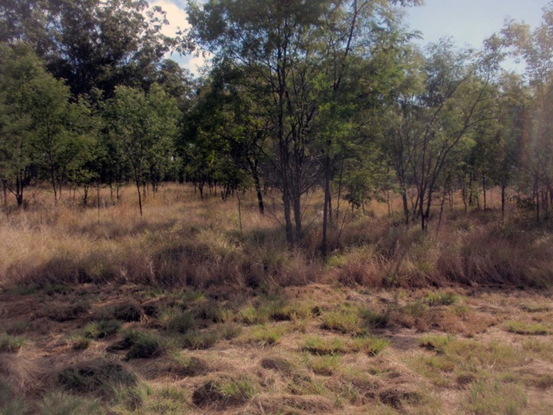 Wondai QLD 4606