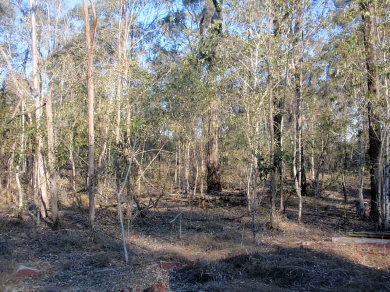 274 TH Burns Road, Ballogie QLD 4610
