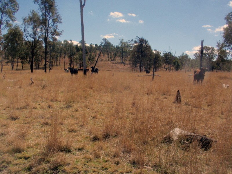 Proston QLD 4613