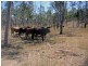 Proston QLD 4613