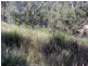 Proston QLD 4613