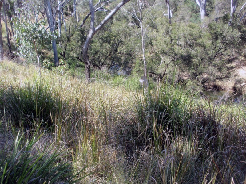 Proston QLD 4613