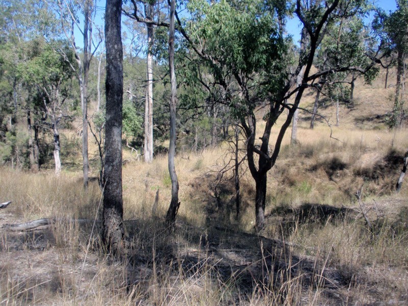 Proston QLD 4613