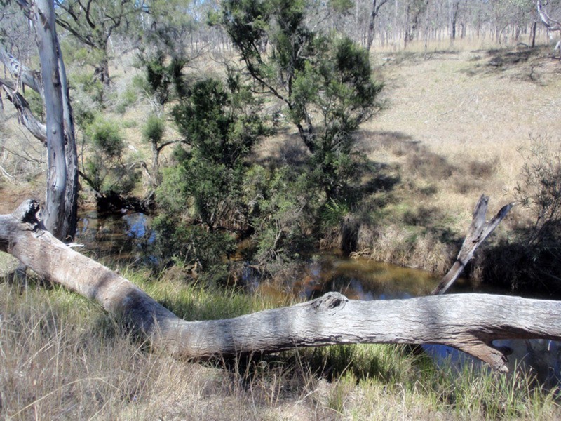 Proston QLD 4613