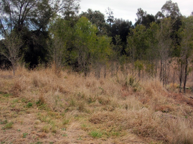 Proston QLD 4613