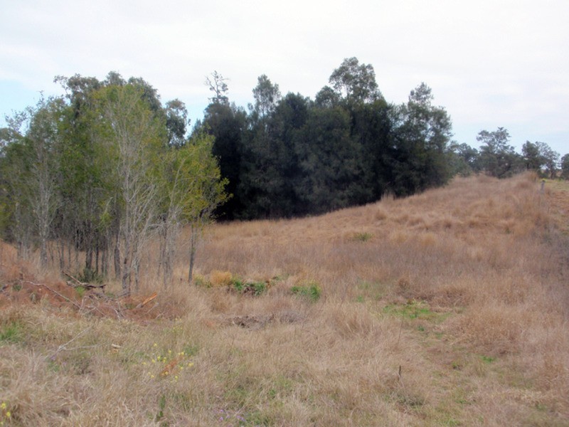 Proston QLD 4613