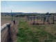 Proston QLD 4613