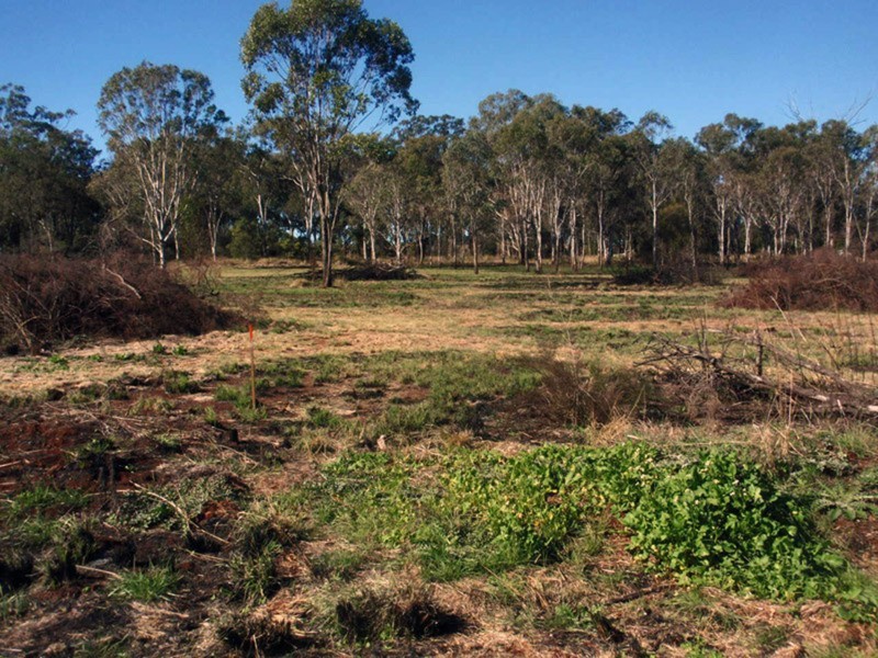 Lot 8 Oil Seeds Road, Memerambi QLD 4610