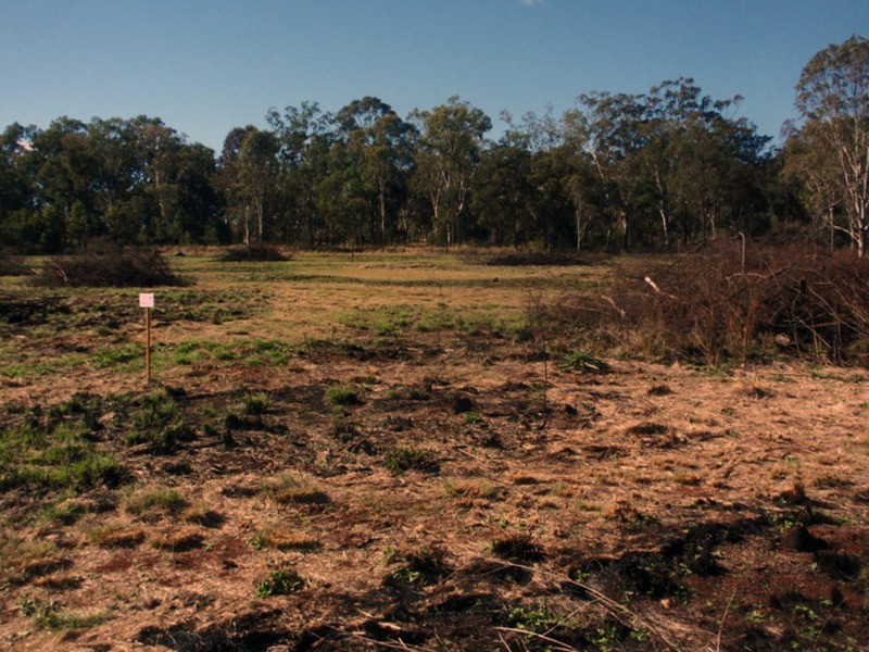 Lot 44 Safflower Street, Memerambi QLD 4610