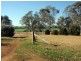 Hodgleigh QLD 4610