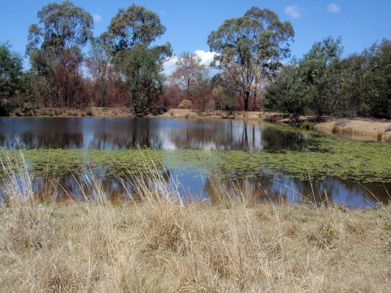 Nanango QLD 4615