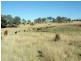 Kumbia QLD 4610