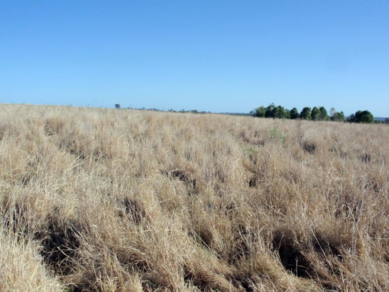 Kumbia QLD 4610