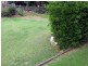 Kingaroy QLD 4610