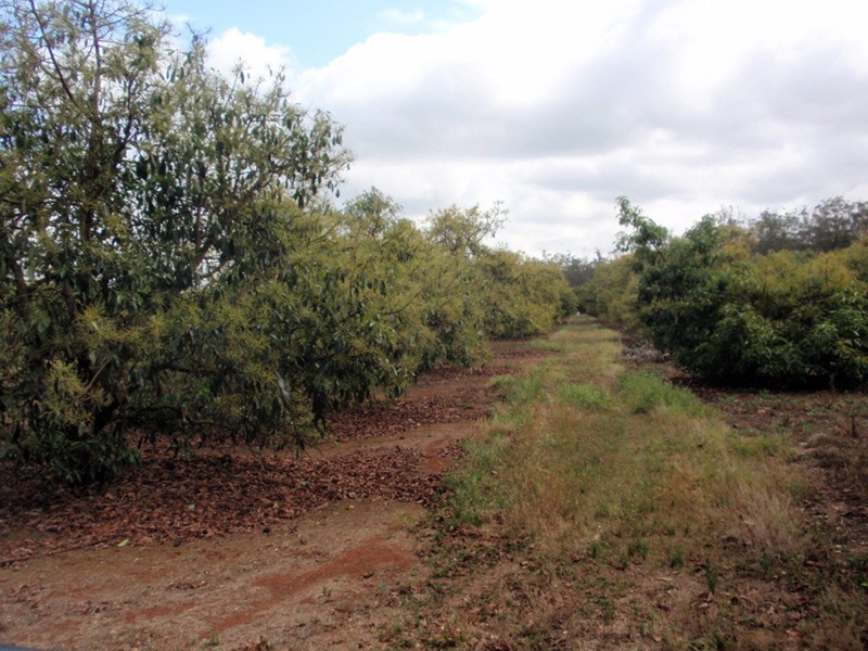 Mount Binga QLD 4306