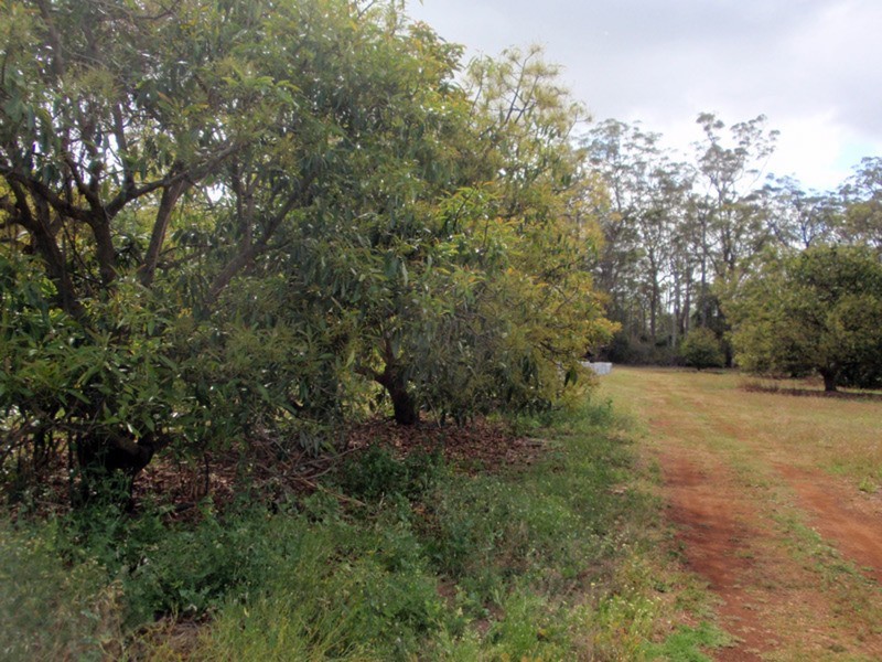 Mount Binga QLD 4306