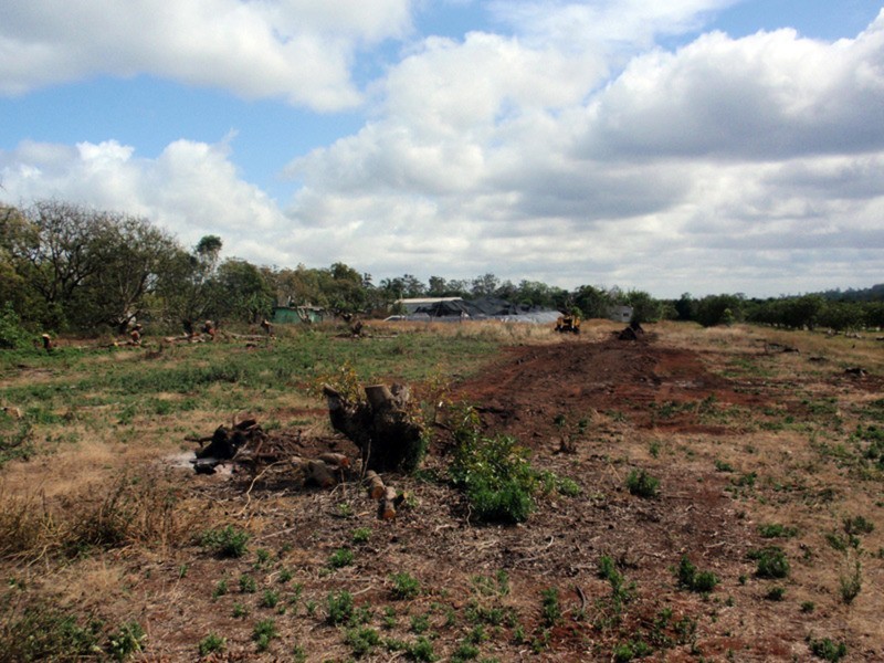 Mount Binga QLD 4306