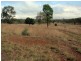 Coolabunia QLD 4610