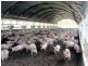 Windera QLD 4605