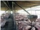 Windera QLD 4605