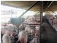 Windera QLD 4605