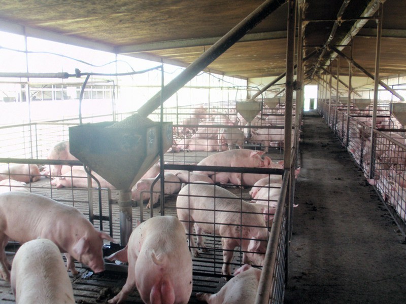 Windera QLD 4605