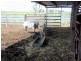 Windera QLD 4605