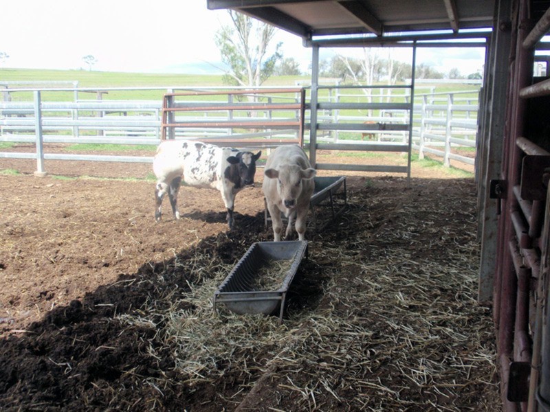 Windera QLD 4605