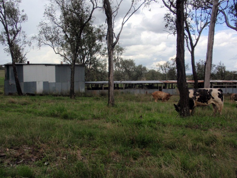 Windera QLD 4605