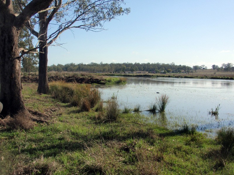 Cloyna QLD 4605