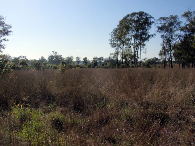 Cloyna QLD 4605