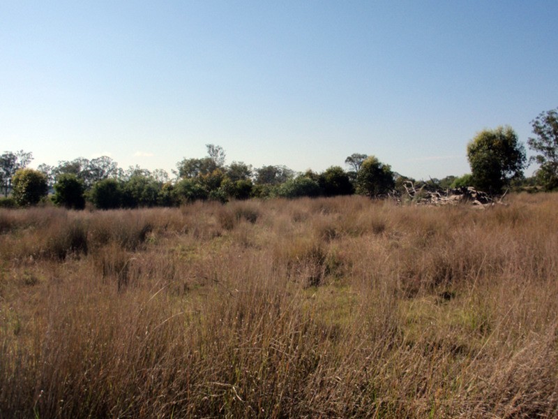 Cloyna QLD 4605