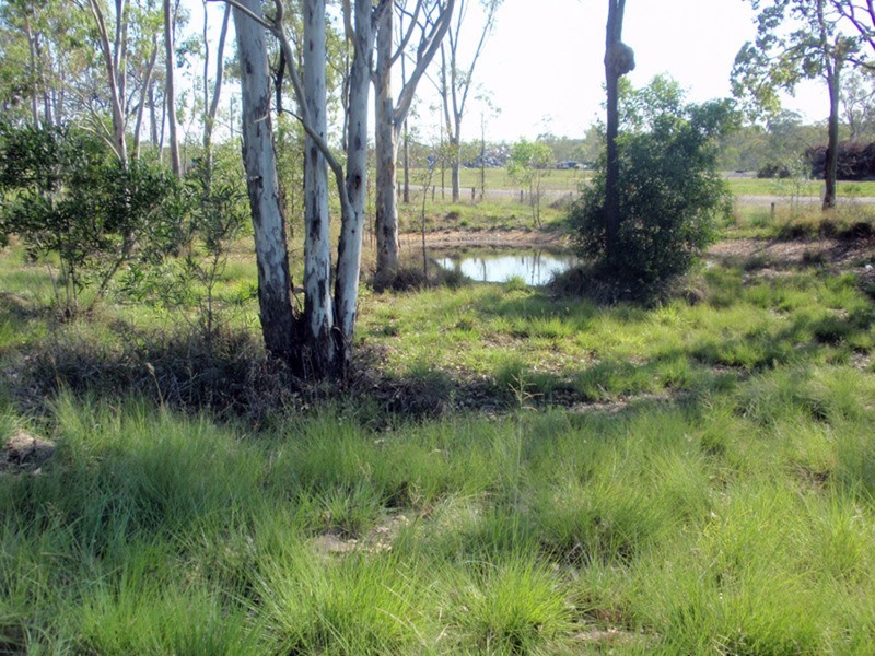 South Nanango QLD 4615