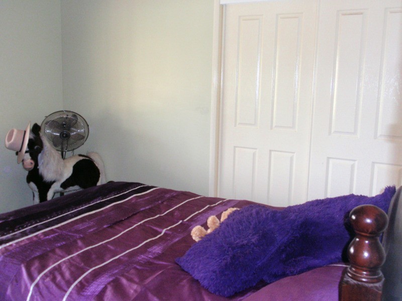 149 Burkes Road, Booie QLD 4610