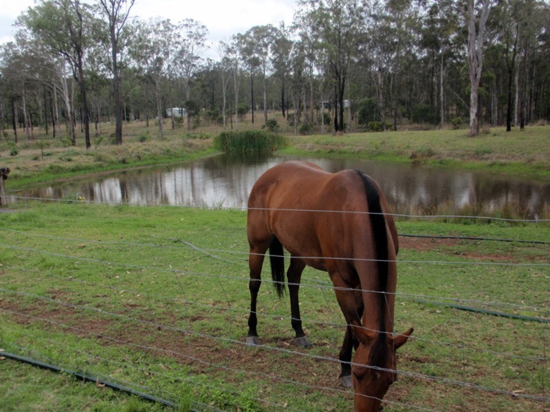 149 Burkes Road, Booie QLD 4610