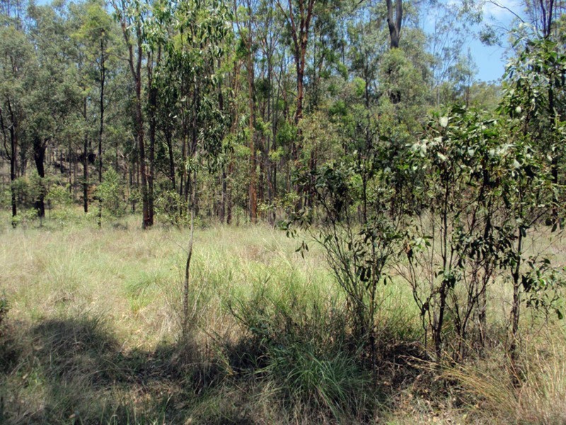 Wattle Camp QLD 4615