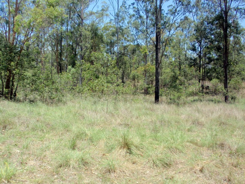 Wattle Camp QLD 4615
