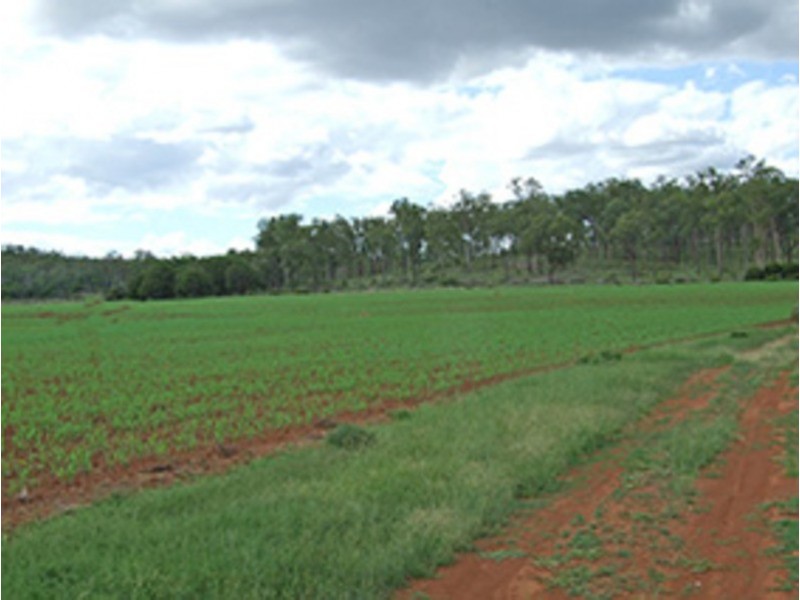 Speedwell QLD 4613
