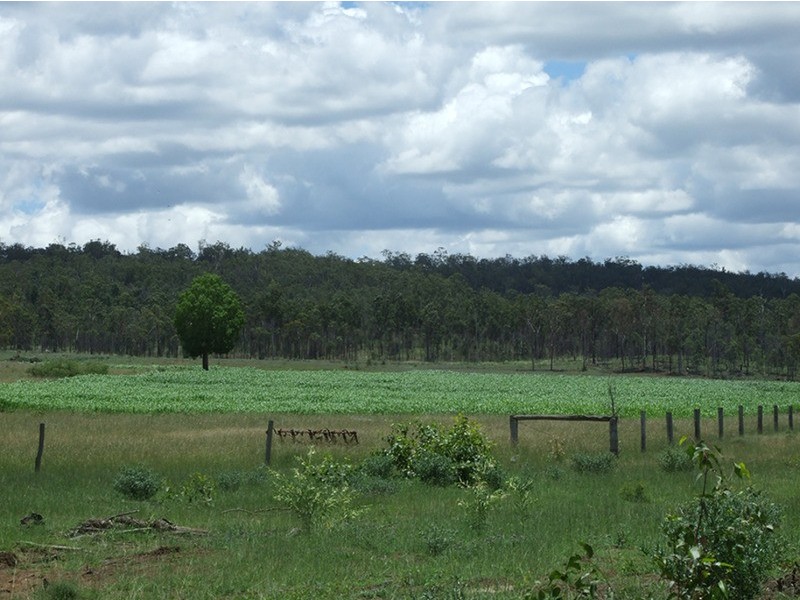 Speedwell QLD 4613