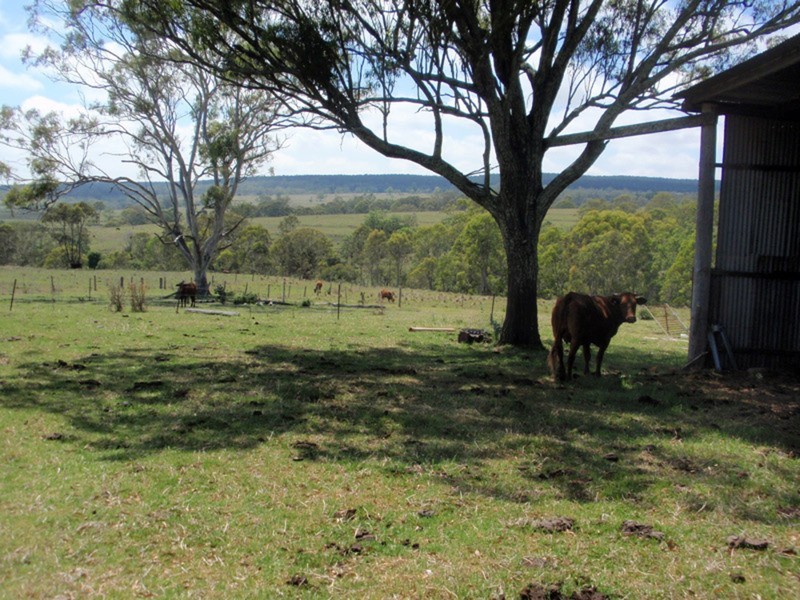 Pimpimbudgee QLD 4615