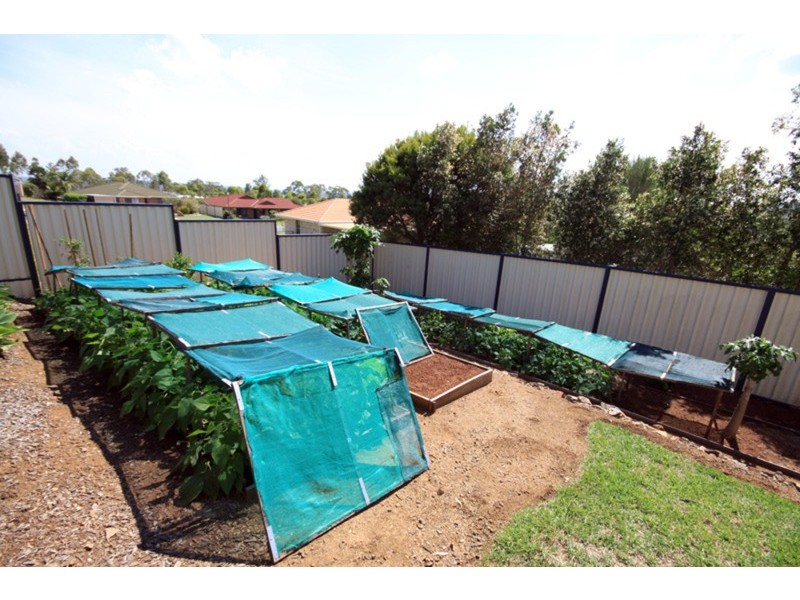 Kingaroy QLD 4610