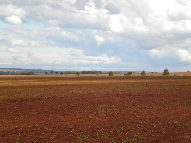 Kingaroy QLD 4610