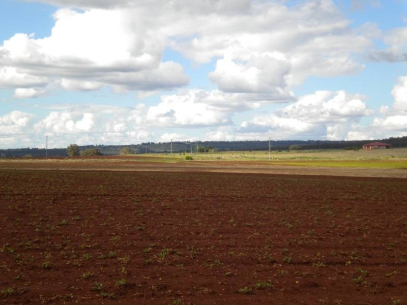 Kingaroy QLD 4610