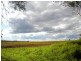 Kingaroy QLD 4610