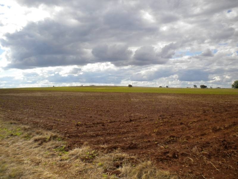 Kingaroy QLD 4610